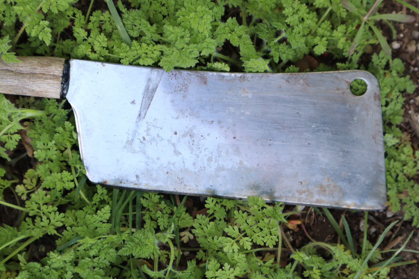 Whitetail Deer Antler Butcher Knife