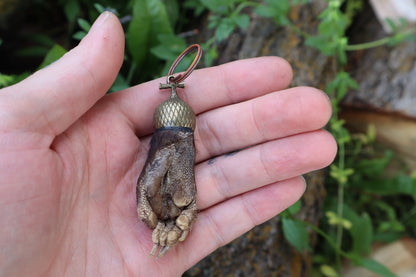 Opossum Paw Acorn Keychain