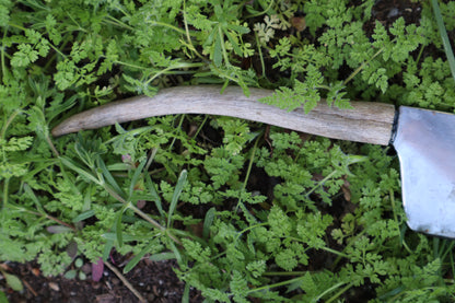 Whitetail Deer Antler Butcher Knife