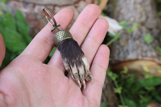 Opossum Paw Acorn Keychain