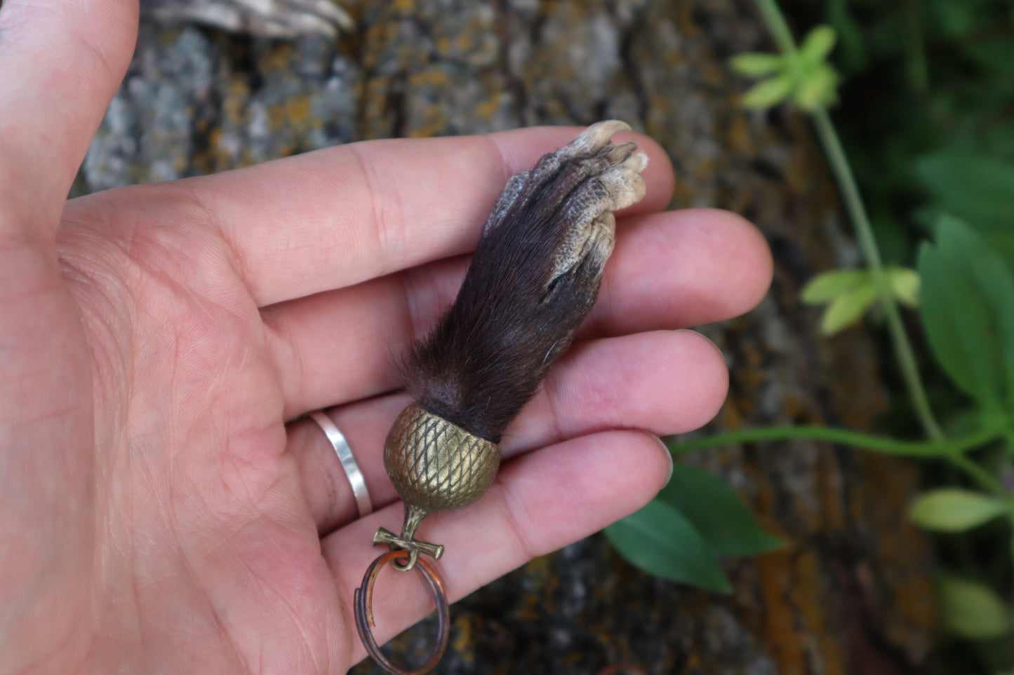 Opossum Paw Acorn Keychain