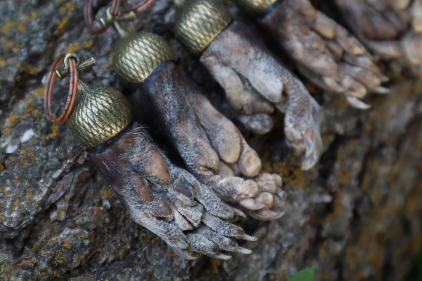 Opossum Paw Acorn Keychain