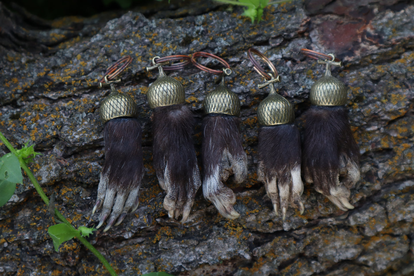 Opossum Paw Acorn Keychain
