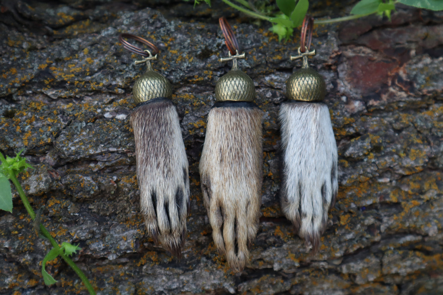 Raccoon Paw Acorn Keychain