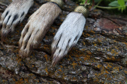 Raccoon Paw Acorn Keychain