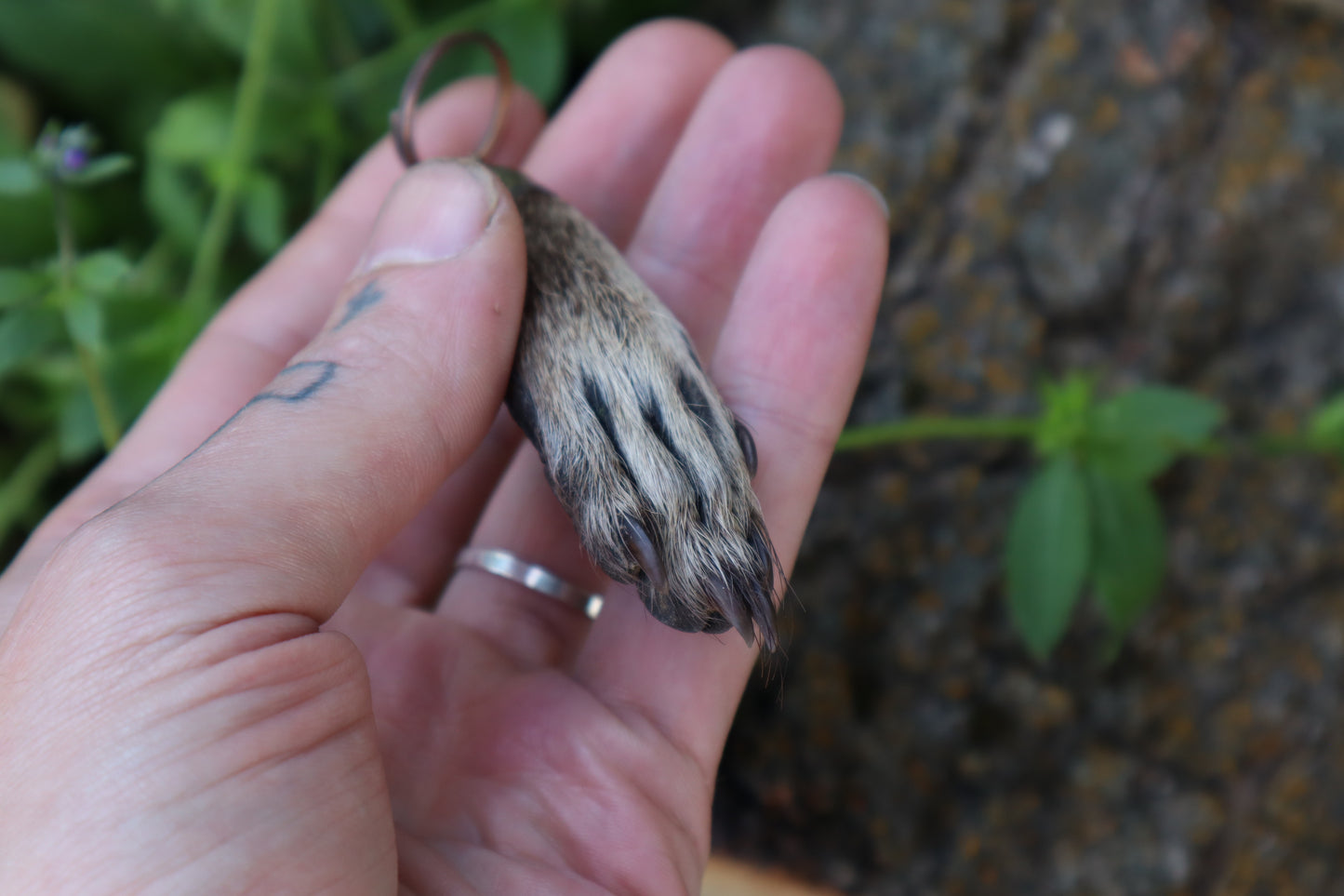 Raccoon Paw Acorn Keychain