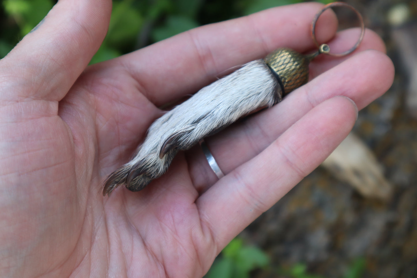 Raccoon Paw Acorn Keychain