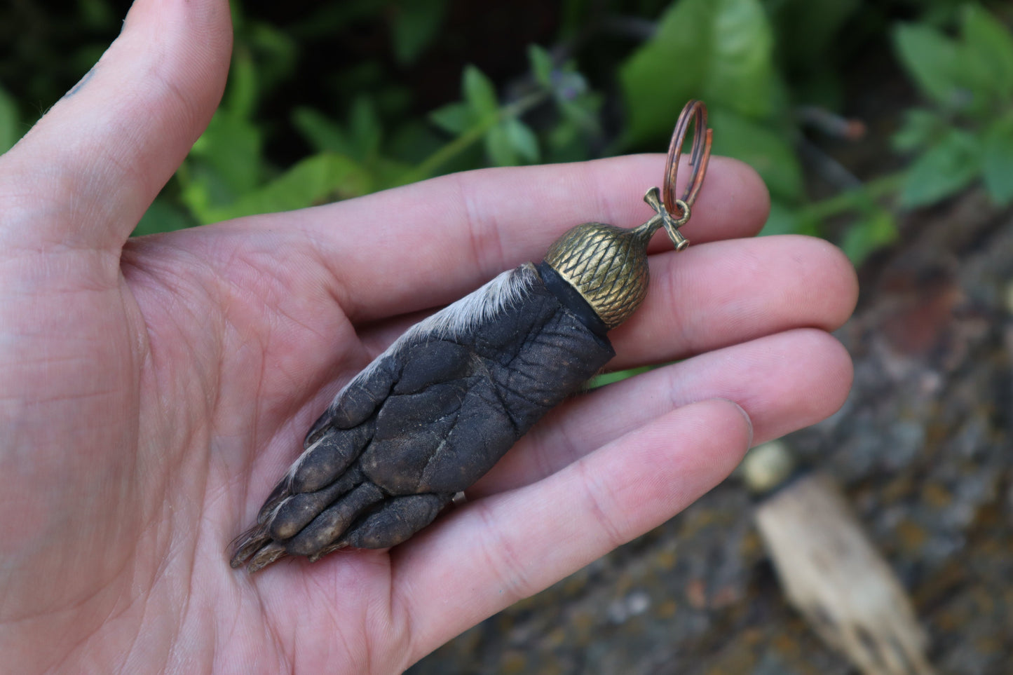 Raccoon Paw Acorn Keychain