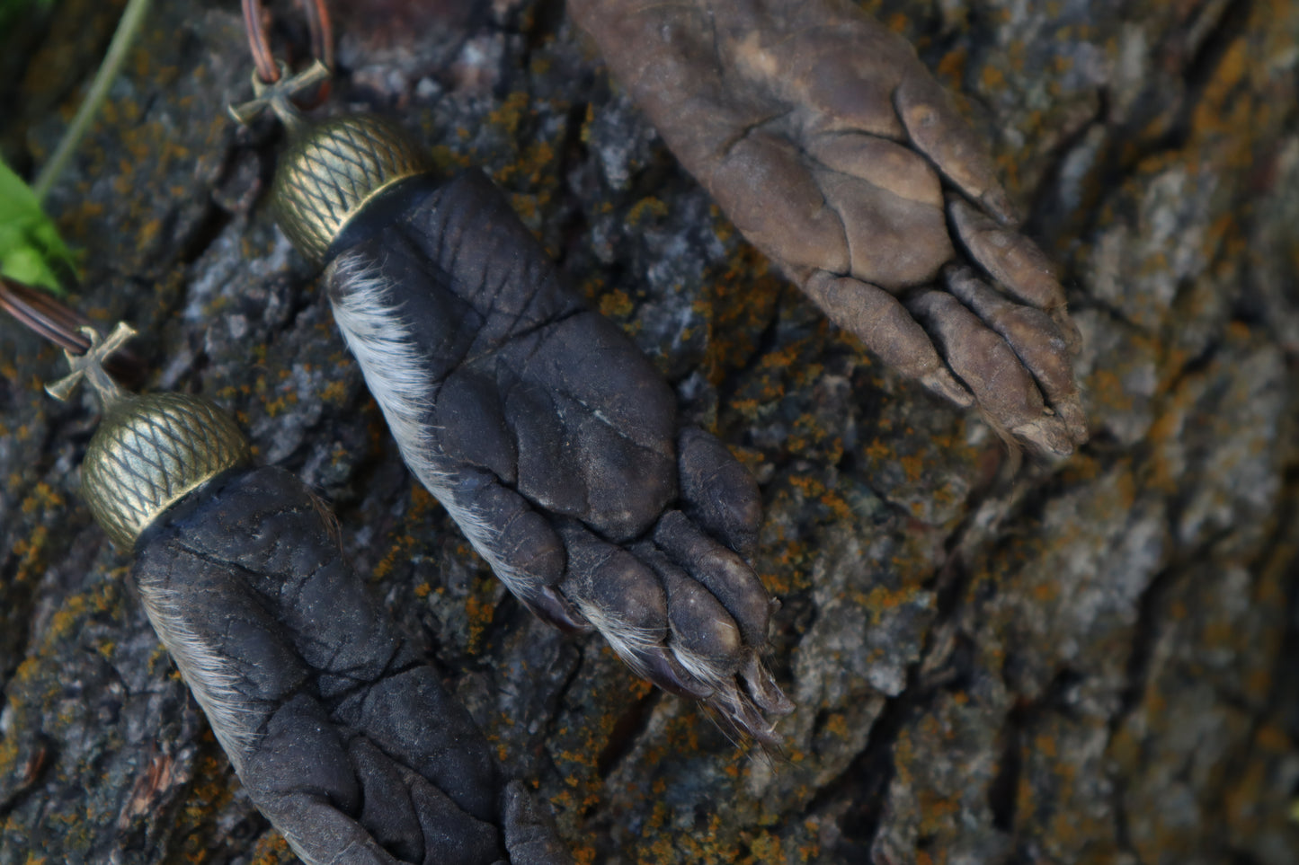Raccoon Paw Acorn Keychain