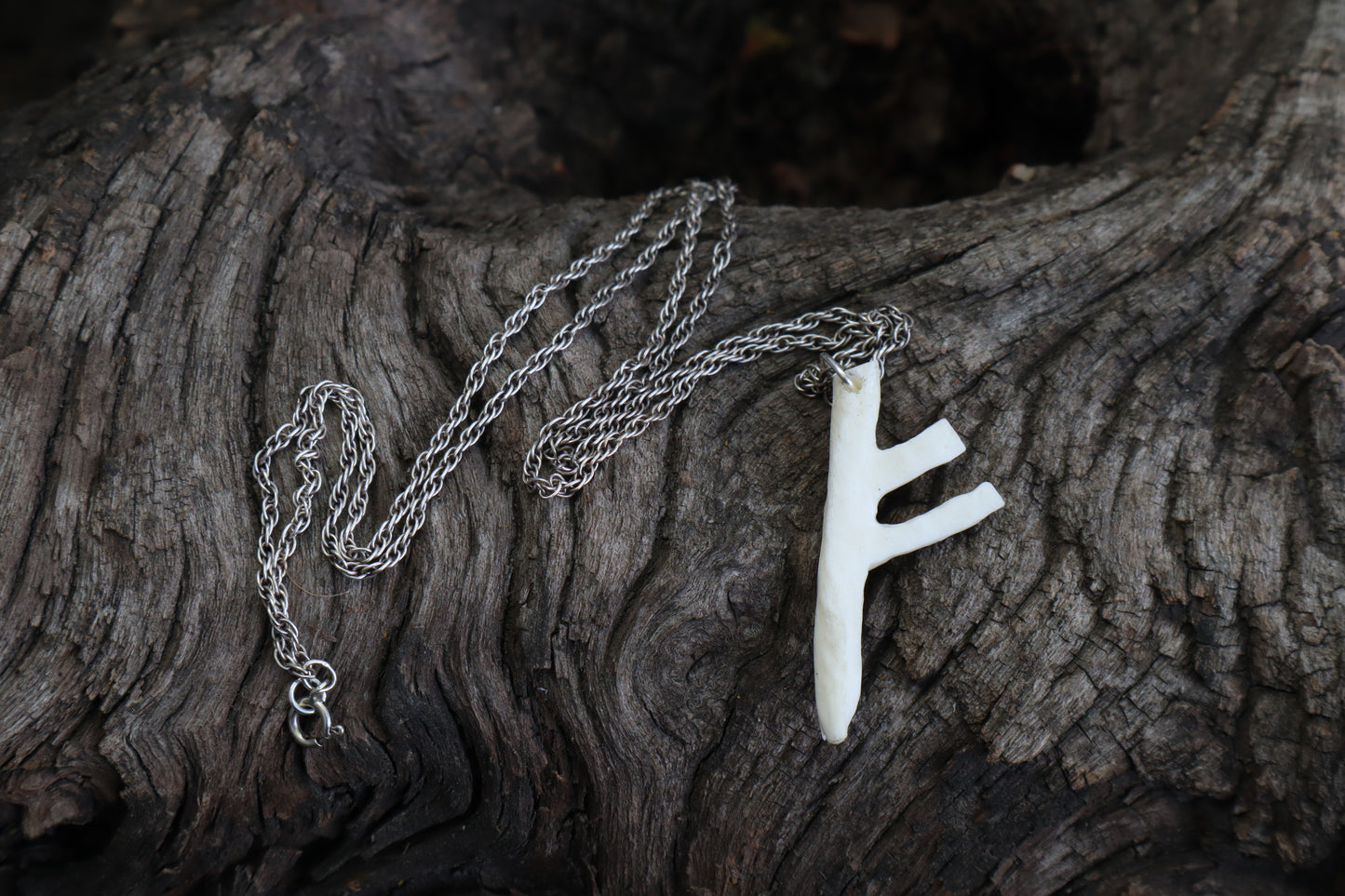 Fehu Wolf Bone Talisman