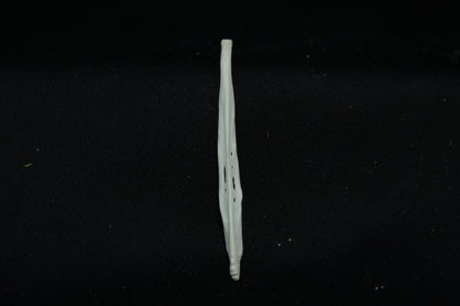 Red Fox Baculum