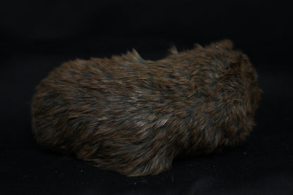Gopher Taxidermy