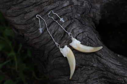 Badger Claw Earrings - .925 Silver