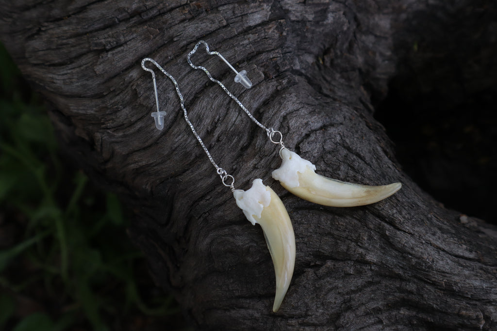 Badger Claw Earrings - .925 Silver