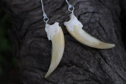 Badger Claw Earrings - .925 Silver