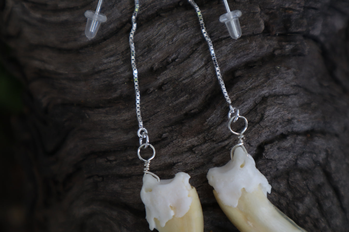 Badger Claw Earrings - .925 Silver