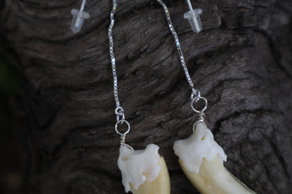 Badger Claw Earrings - .925 Silver
