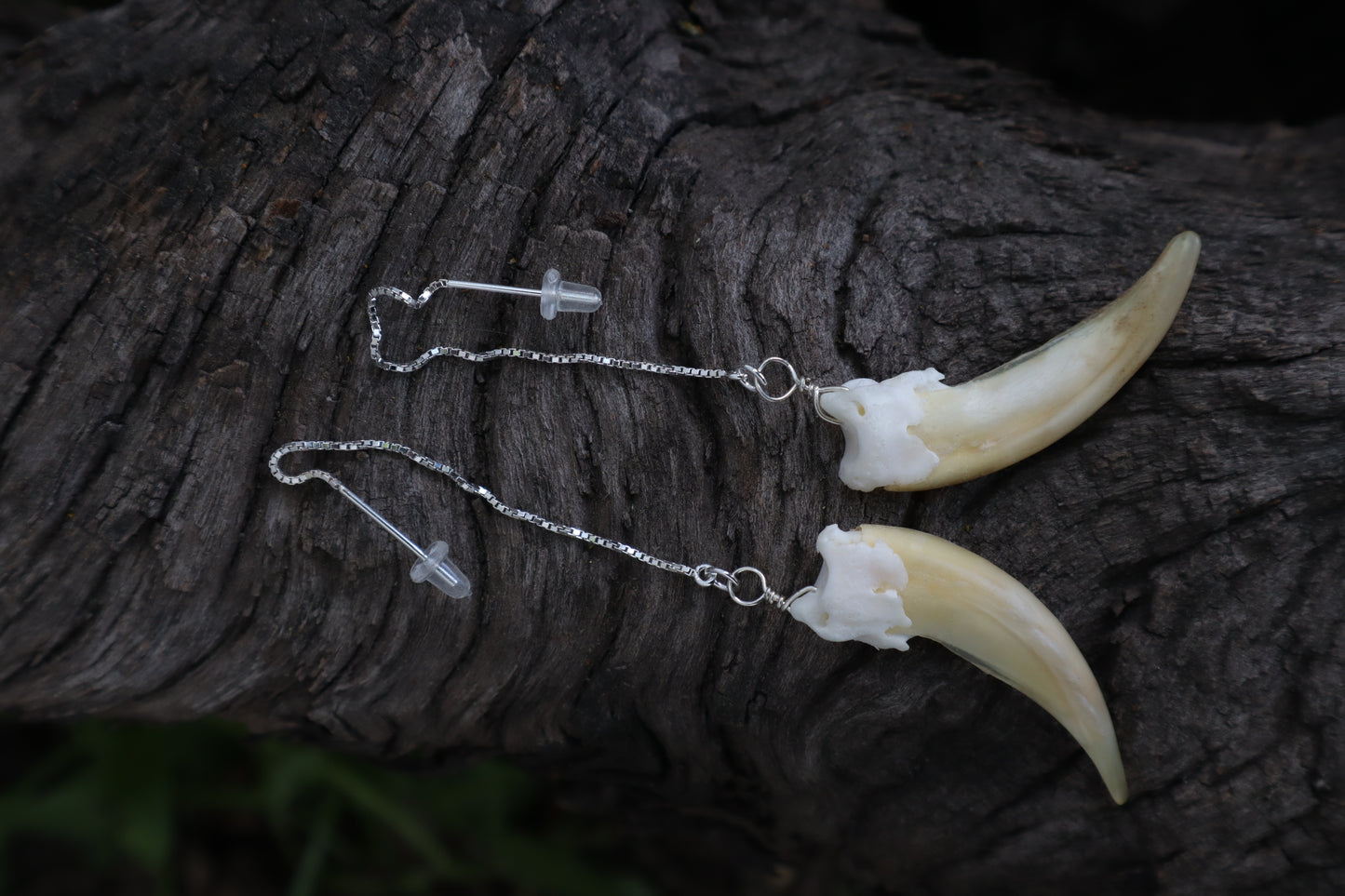 Badger Claw Earrings - .925 Silver