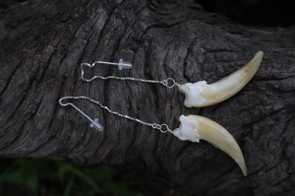 Badger Claw Earrings - .925 Silver