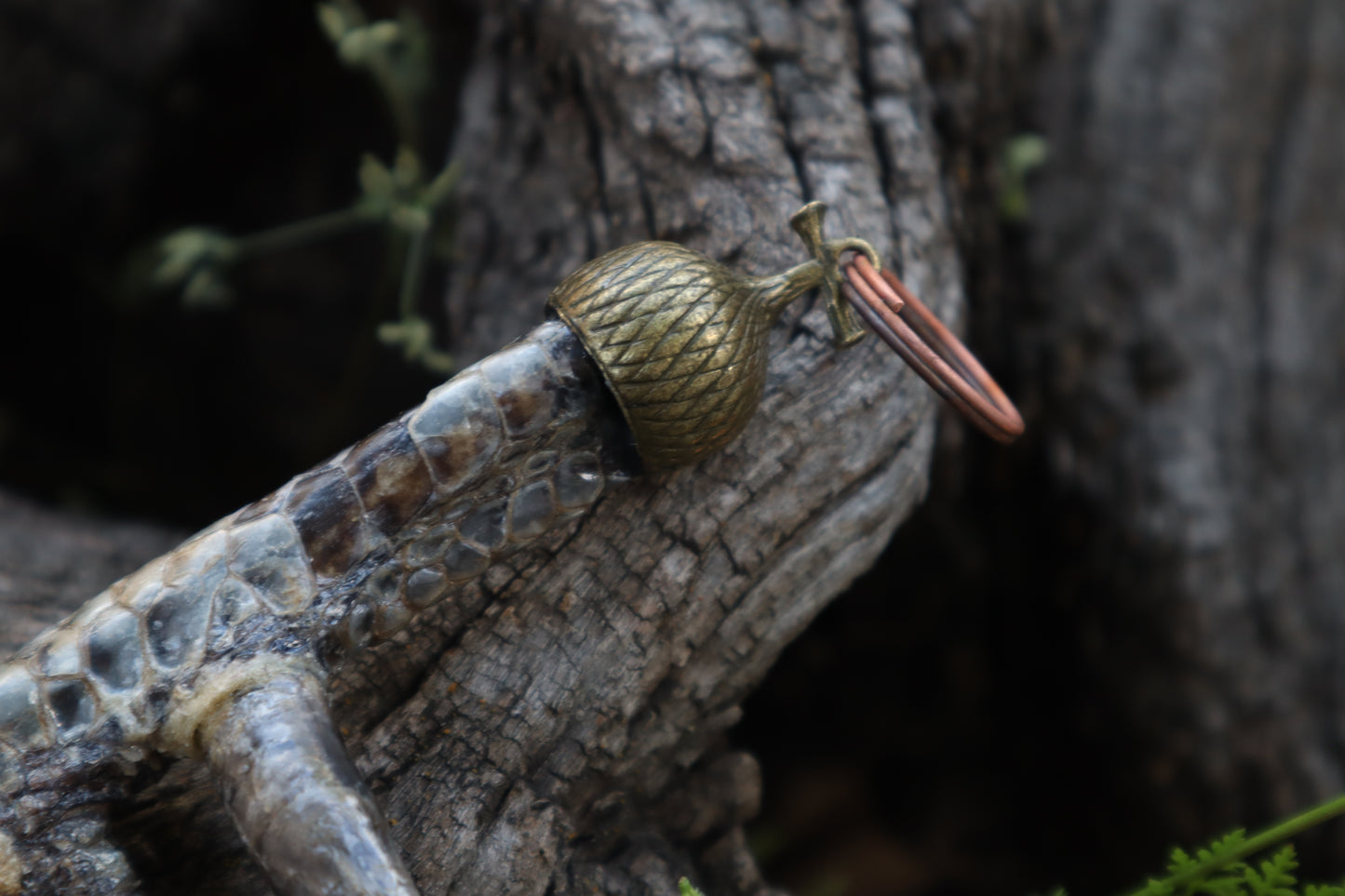 Black Chicken Foot Acorn Keychain