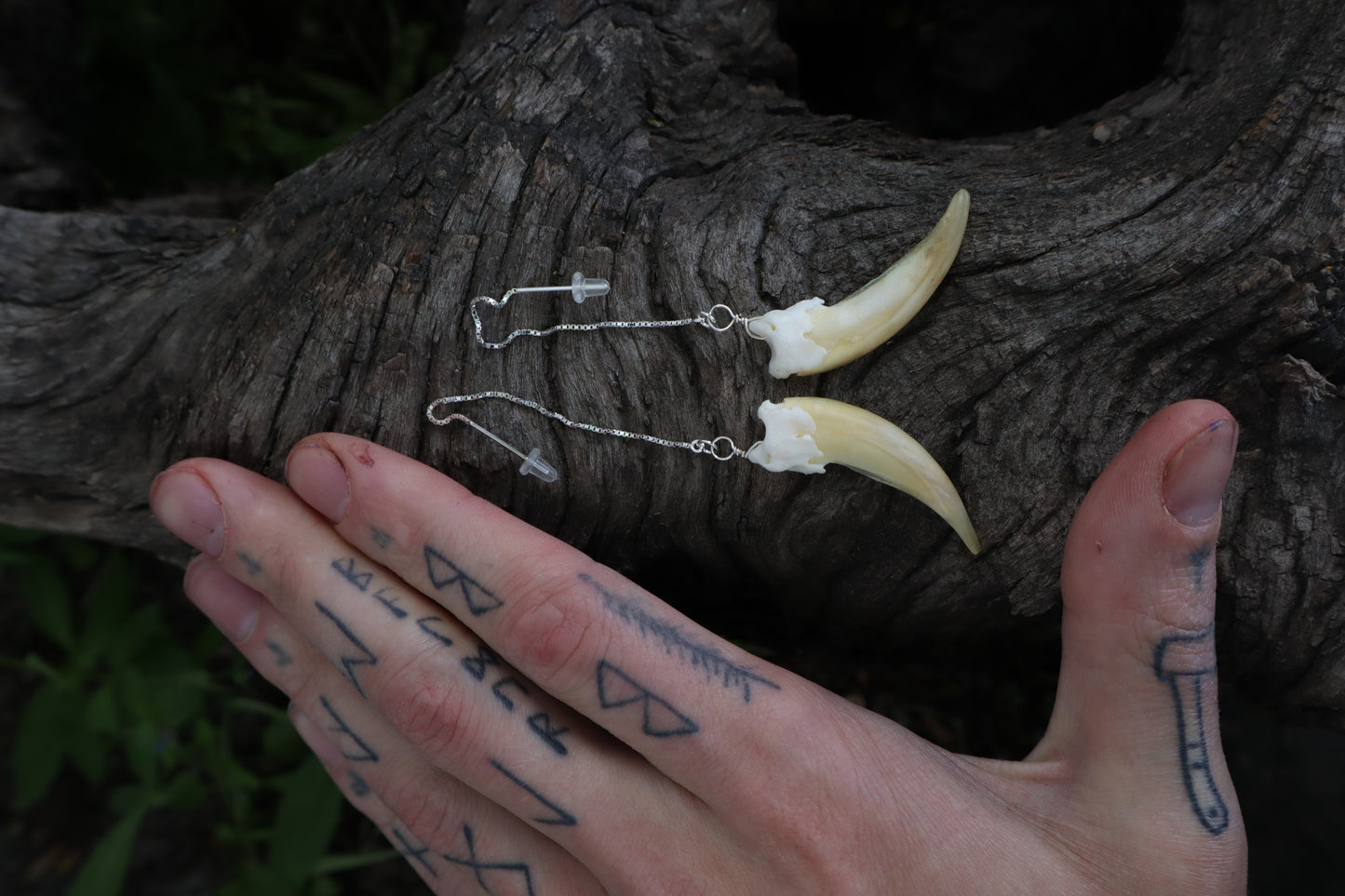 Badger Claw Earrings - .925 Silver