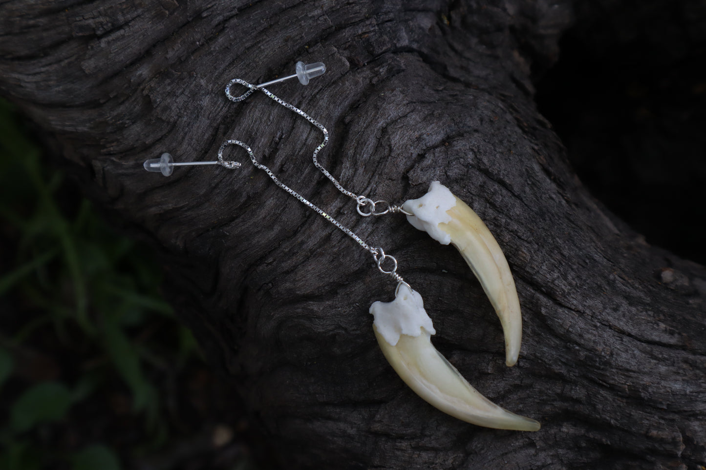 Badger Claw Earrings - .925 Silver