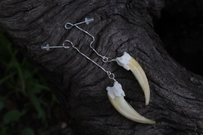 Badger Claw Earrings - .925 Silver
