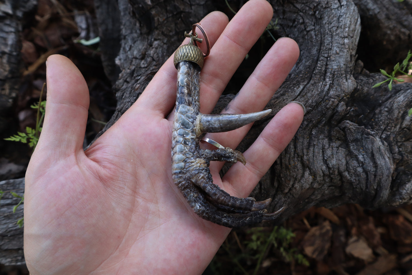 Black Chicken Foot Acorn Keychain
