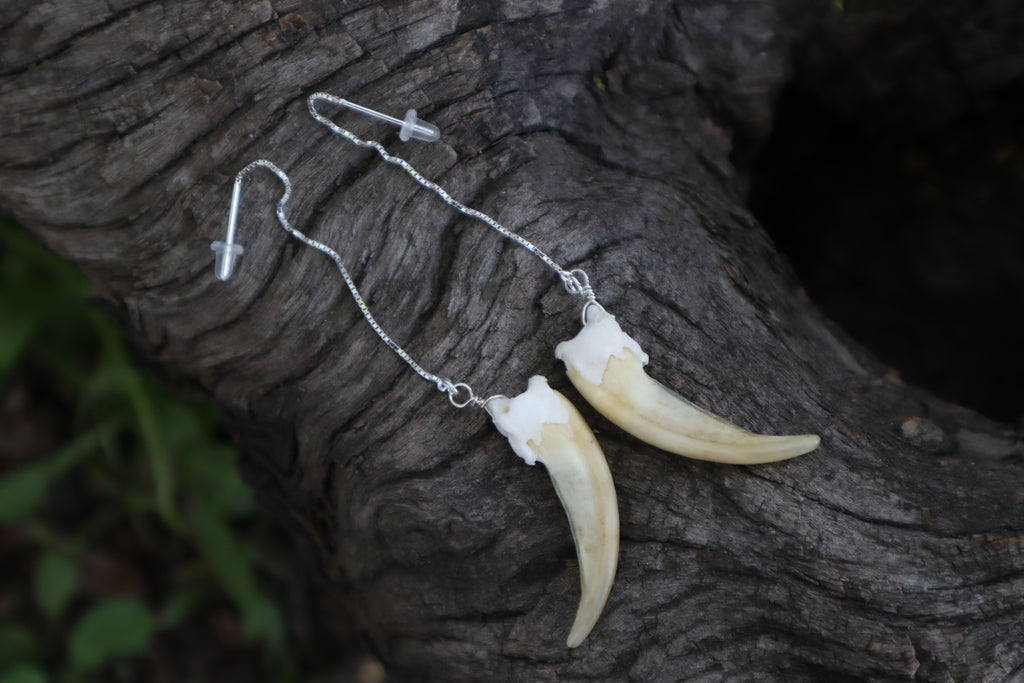Badger Claw Earrings - .925 Silver