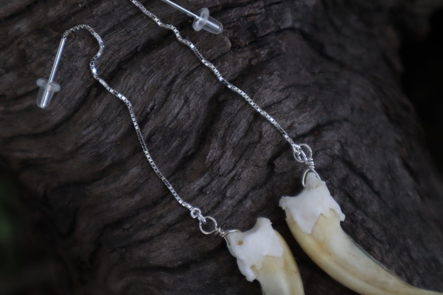 Badger Claw Earrings - .925 Silver