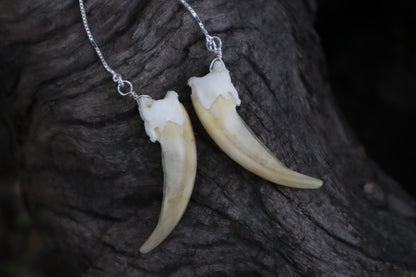 Badger Claw Earrings - .925 Silver