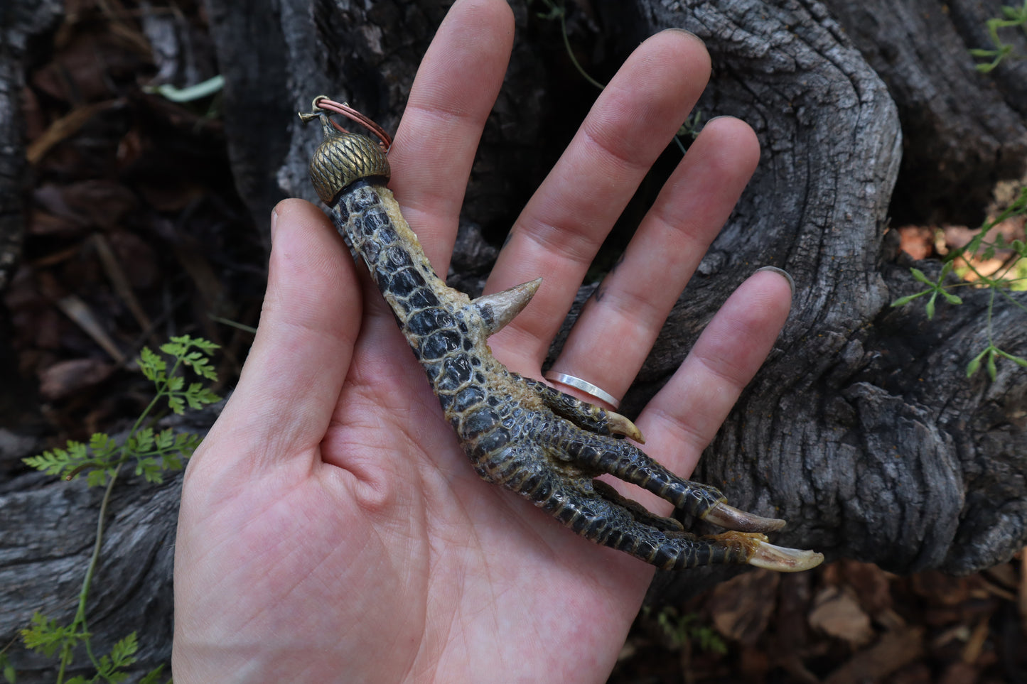 Black Chicken Foot Acorn Keychain