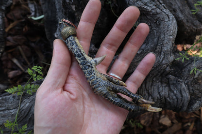 Black Chicken Foot Acorn Keychain