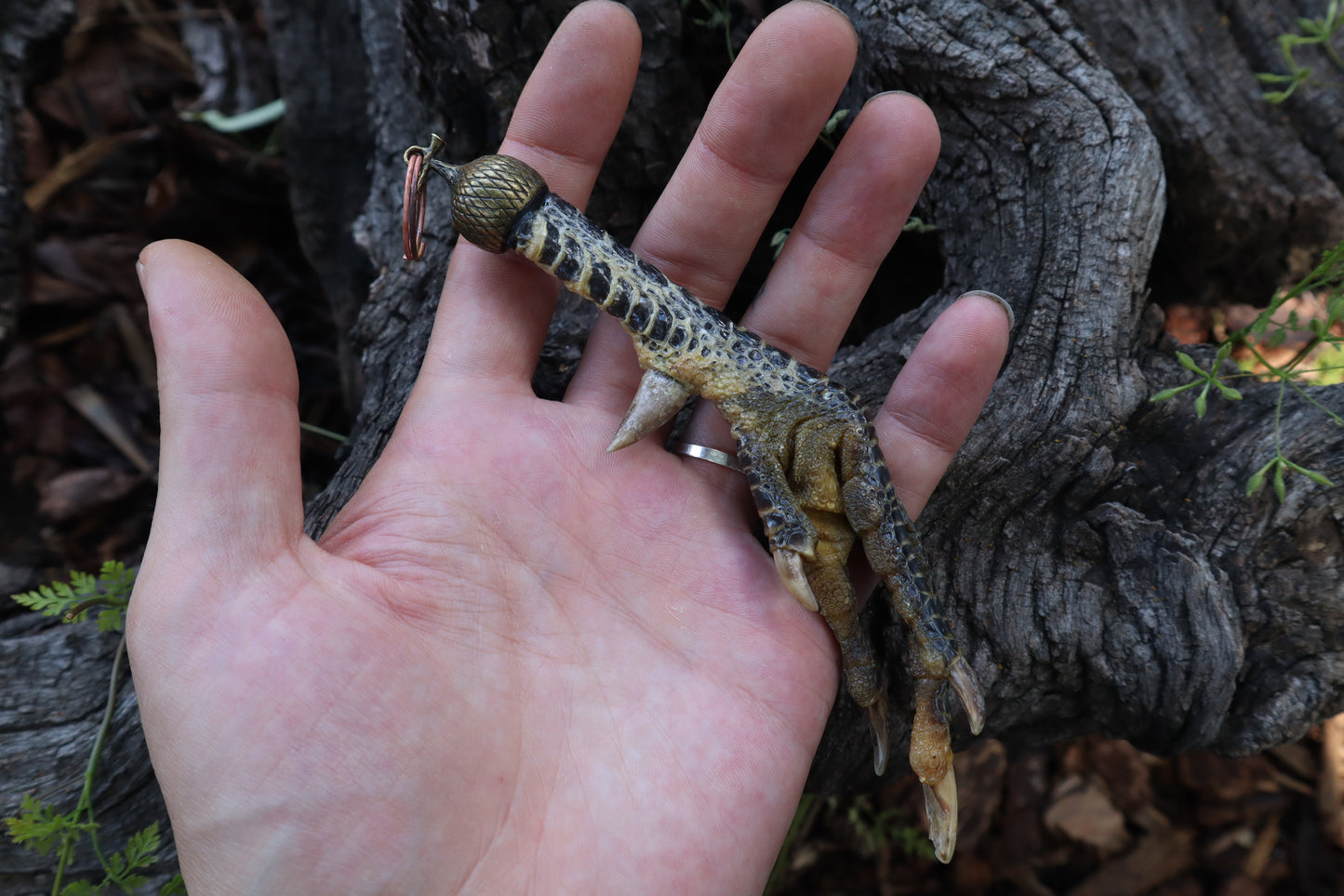 Black Chicken Foot Acorn Keychain