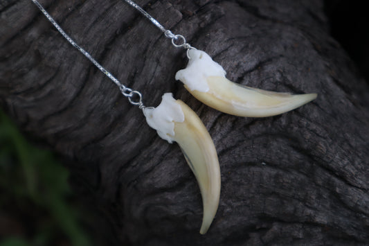 Badger Claw Earrings - .925 Silver