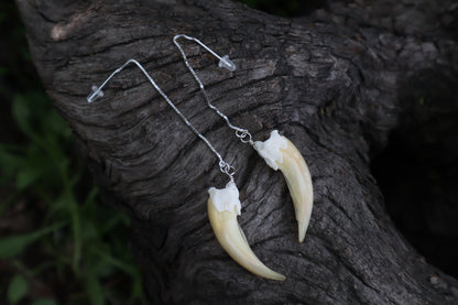 Badger Claw Earrings - .925 Silver