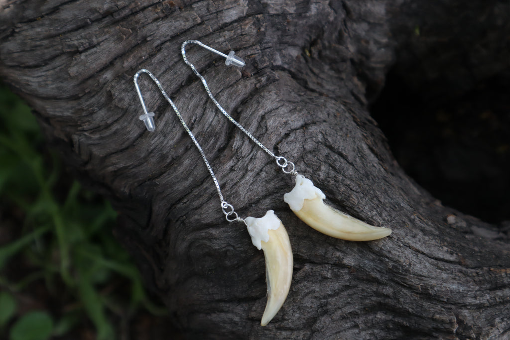 Badger Claw Earrings - .925 Silver