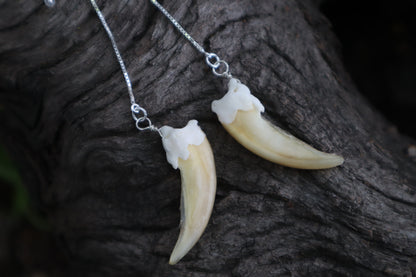 Badger Claw Earrings - .925 Silver