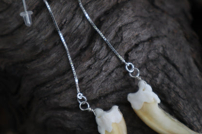 Badger Claw Earrings - .925 Silver