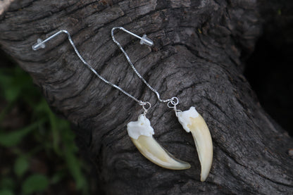 Badger Claw Earrings - .925 Silver