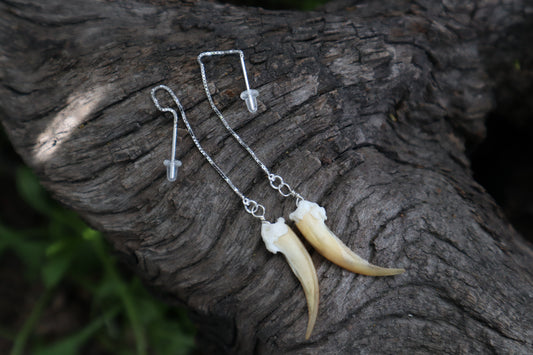Badger Claw Earrings - .925 Silver