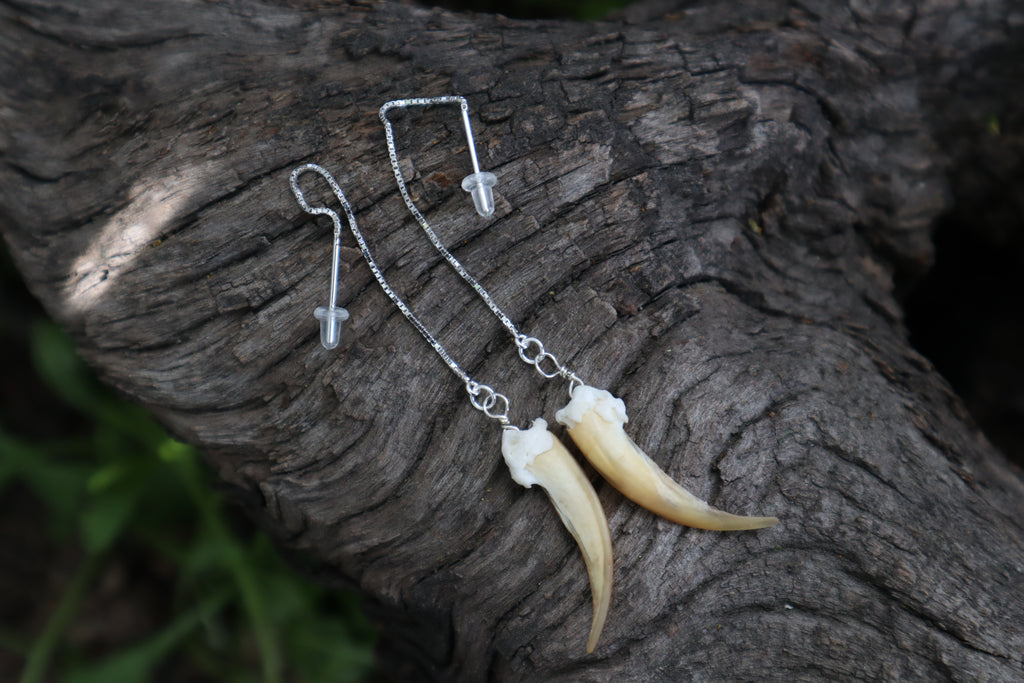 Badger Claw Earrings - .925 Silver