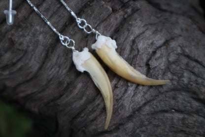 Badger Claw Earrings - .925 Silver