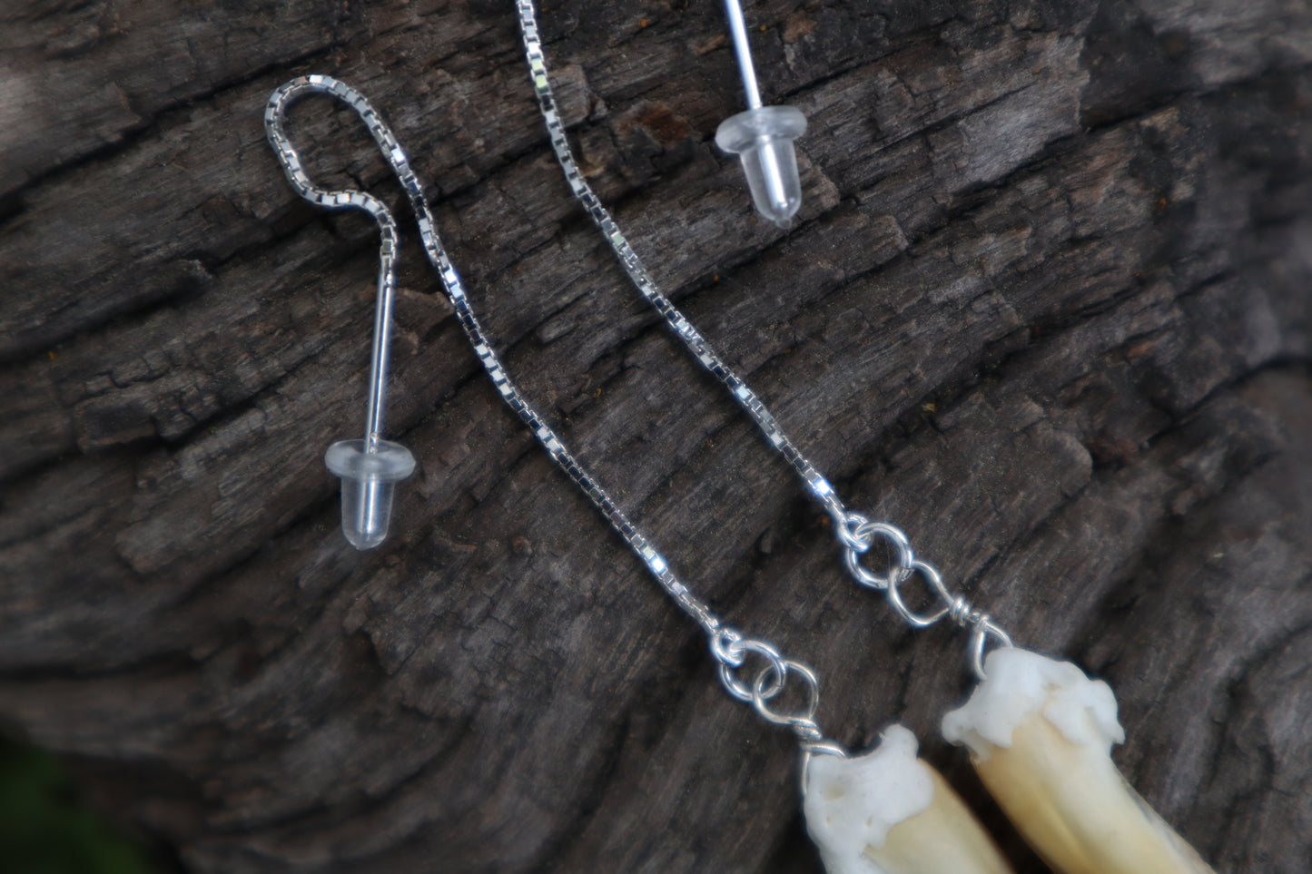 Badger Claw Earrings - .925 Silver