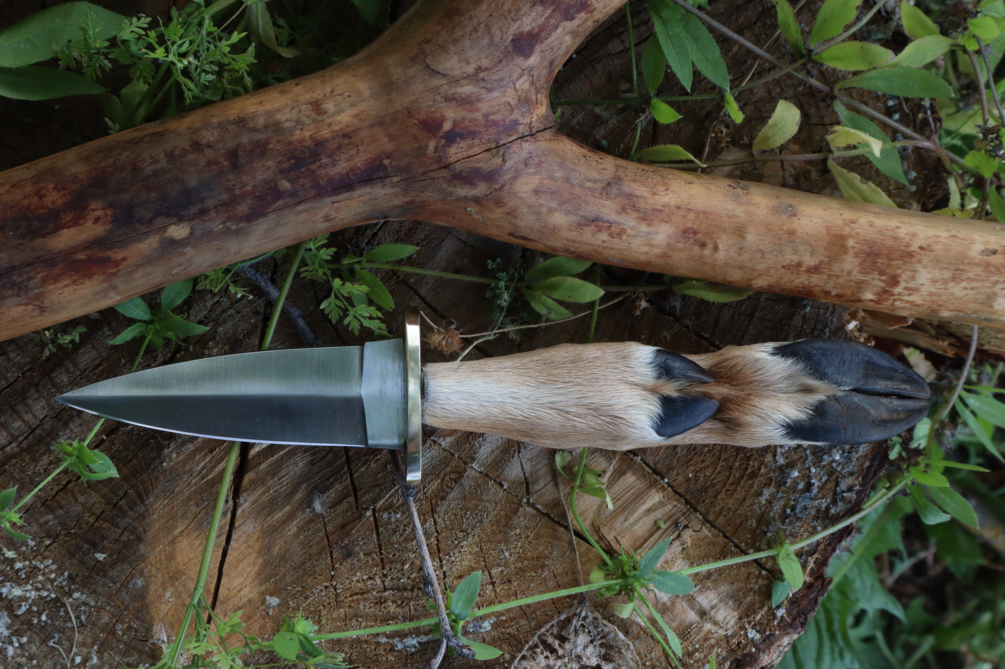 Reserved for Jailyn - Whitetail Deer Hoof Dagger