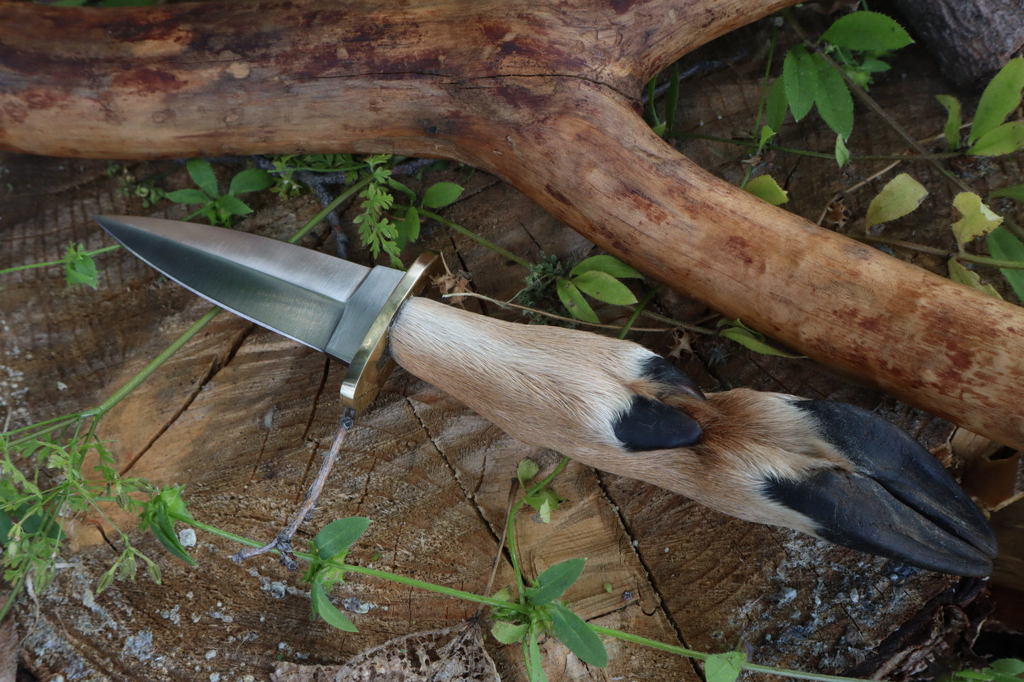 Reserved for Jailyn - Whitetail Deer Hoof Dagger
