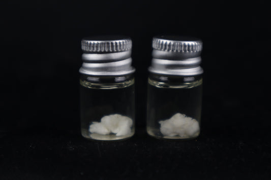 Black Wolf Brain Bit Wet Specimen