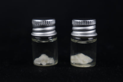 Black Wolf Brain Bit Wet Specimen