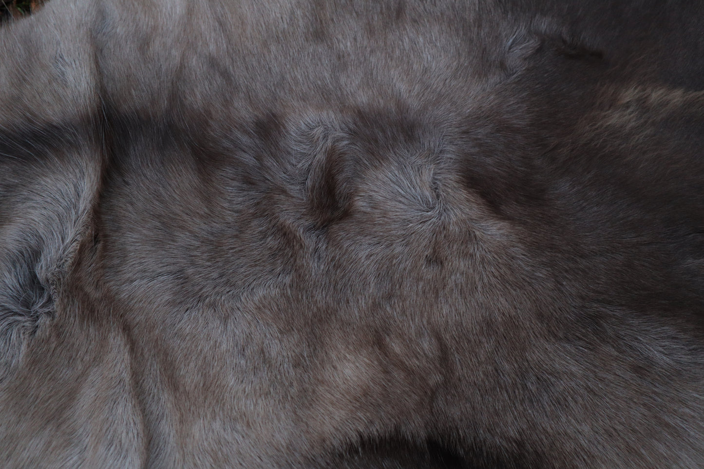 Soft Tanned Reindeer Pelt