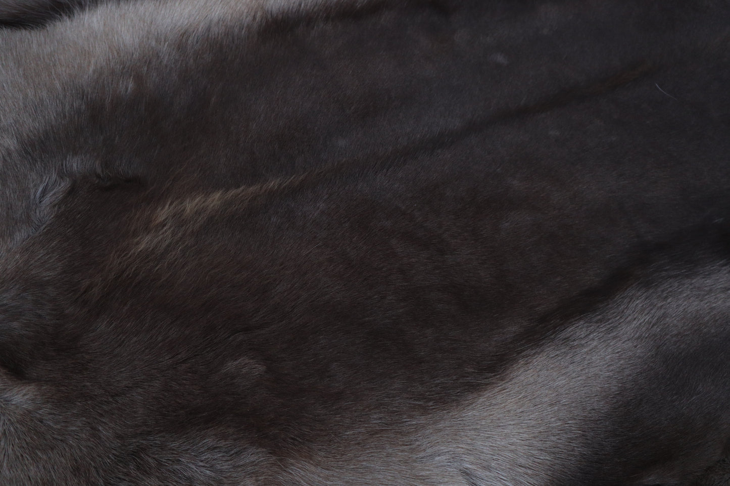 Soft Tanned Reindeer Pelt